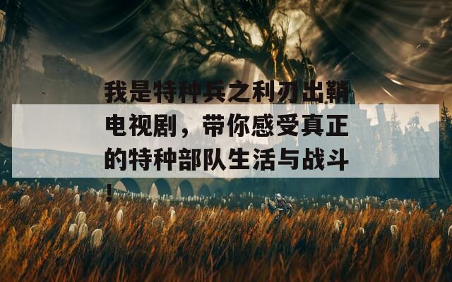 我是特种兵之利刃出鞘电视剧，带你感受真正的特种部队生活与战斗！