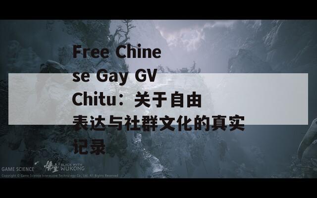 Free Chinese Gay GV Chitu：关于自由表达与社群文化的真实记录