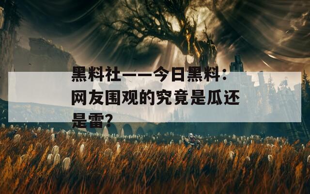 黑料社——今日黑料：网友围观的究竟是瓜还是雷？