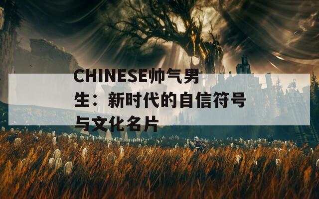 CHINESE帅气男生：新时代的自信符号与文化名片