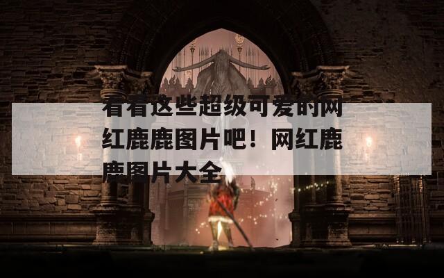 看看这些超级可爱的网红鹿鹿图片吧！网红鹿鹿图片大全