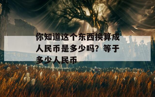 你知道这个东西换算成人民币是多少吗？等于多少人民币