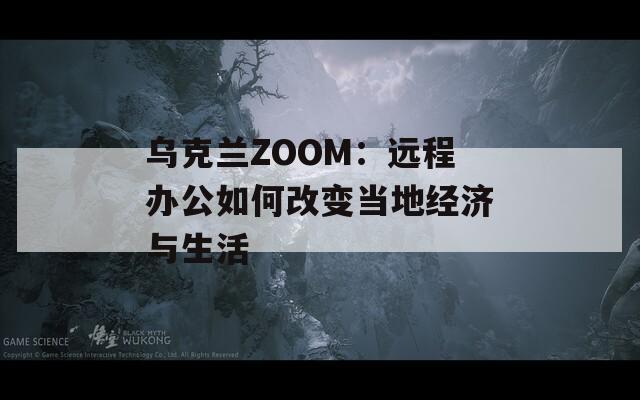 乌克兰ZOOM：远程办公如何改变当地经济与生活