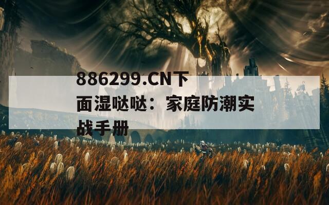 886299.CN下面湿哒哒：家庭防潮实战手册