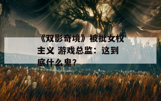 《双影奇境》被批女权主义 游戏总监：这到底什么鬼？