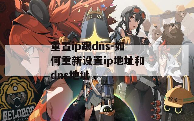 重置ip跟dns-如何重新设置ip地址和dns地址