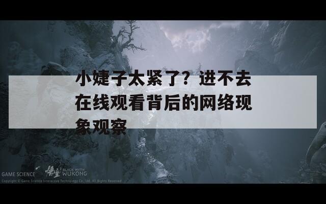 小婕子太紧了？进不去在线观看背后的网络现象观察