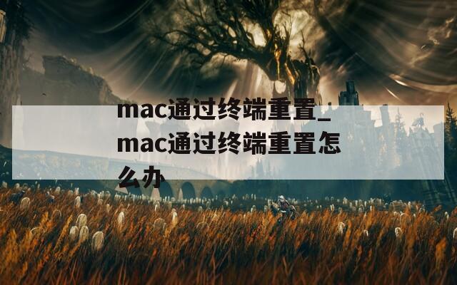 mac通过终端重置_mac通过终端重置怎么办
