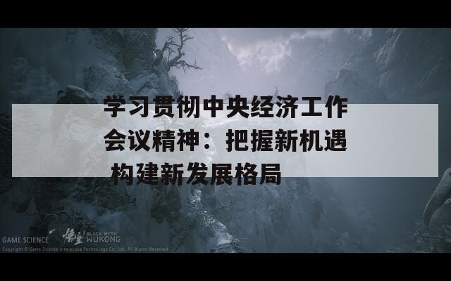 学习贯彻中央经济工作会议精神：把握新机遇 构建新发展格局