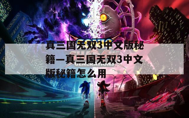 真三国无双3中文版秘籍—真三国无双3中文版秘籍怎么用