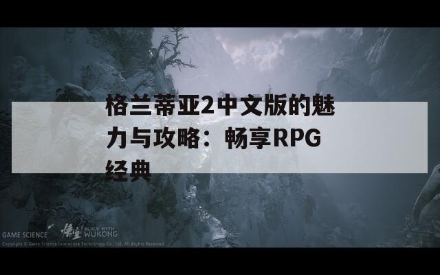 格兰蒂亚2中文版的魅力与攻略：畅享RPG经典