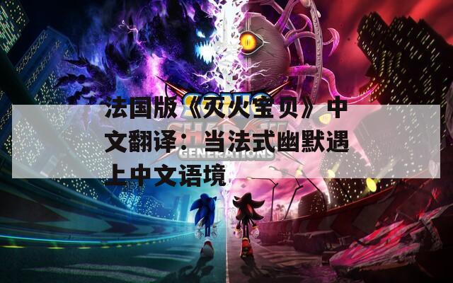 法国版《灭火宝贝》中文翻译：当法式幽默遇上中文语境