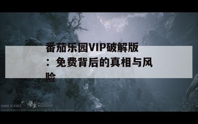 番茄乐园VIP破解版：免费背后的真相与风险